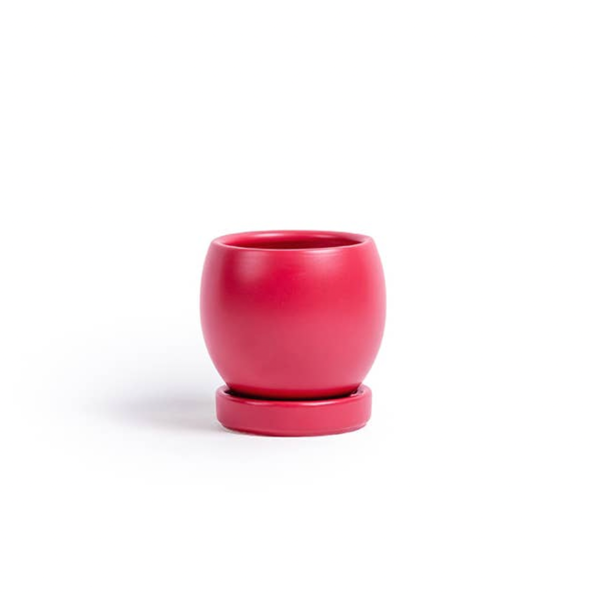 Momma 4.5in Bolle Pot + Saucer watermelon