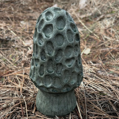 Mushroom Small Morel