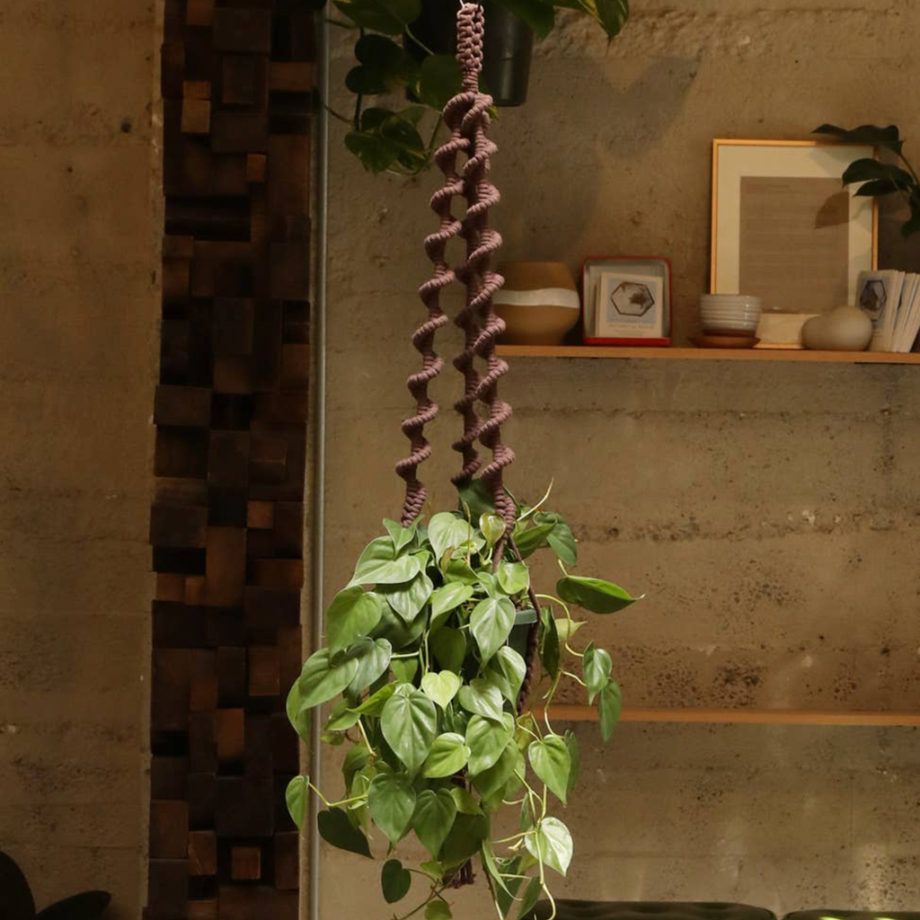 brown macrame plant hanger Macrame Plant Hanger 47in Wavy Dark Brown – Cornell Farm