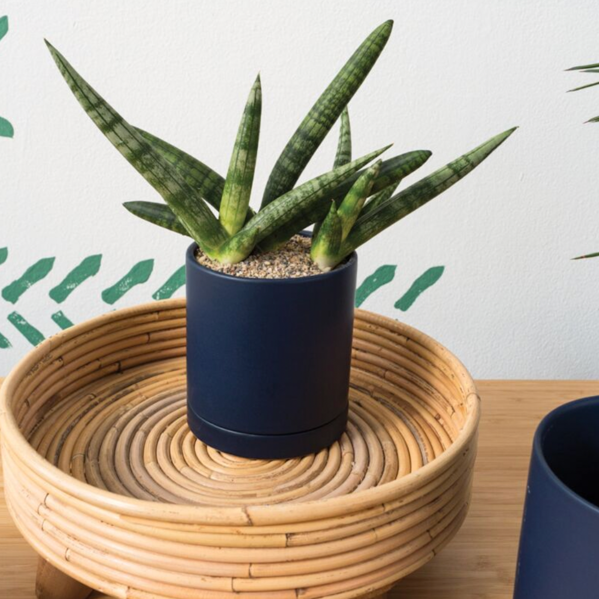 Modern Romey Pot 5x5.75 Blue