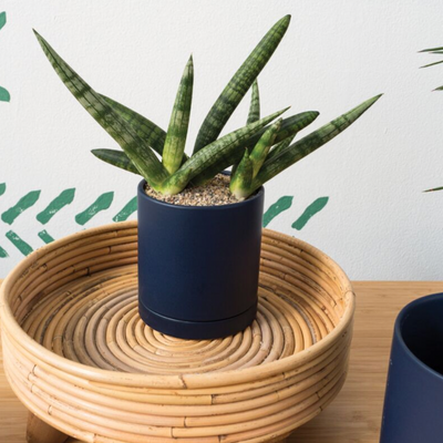 Modern Romey Pot 5x5.75 Blue