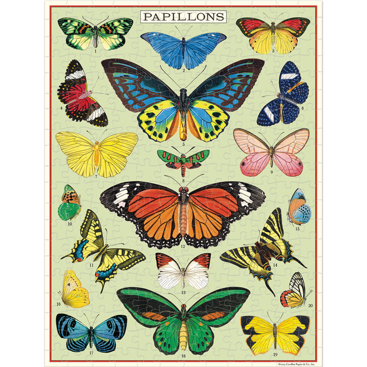 Butterflies Mini Cavallini Puzzle Tube 240pcs