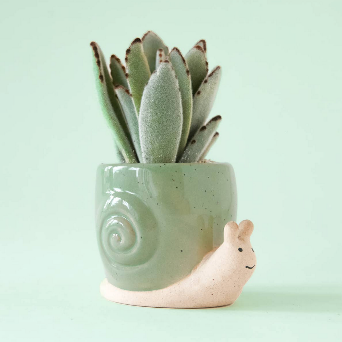 Snail Planter small lagoon Green