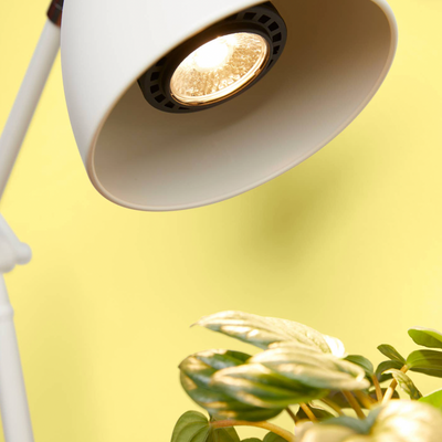 We The Wild Instant Sun Grow Bulb