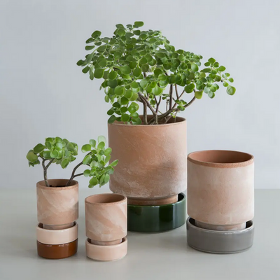 Bergs Hoff Pot 8cm Raw Rosa