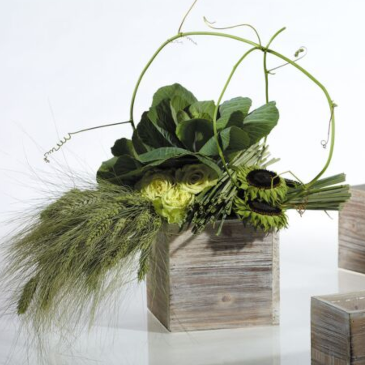 Woodland Planter 7in
