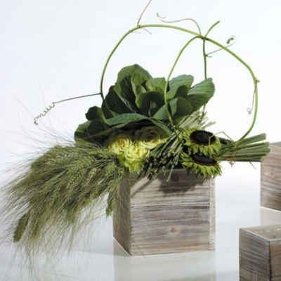 Woodland Planter 7in