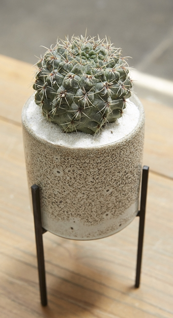 Veranda Plant Stand 4.5x6.7 with Pot SET