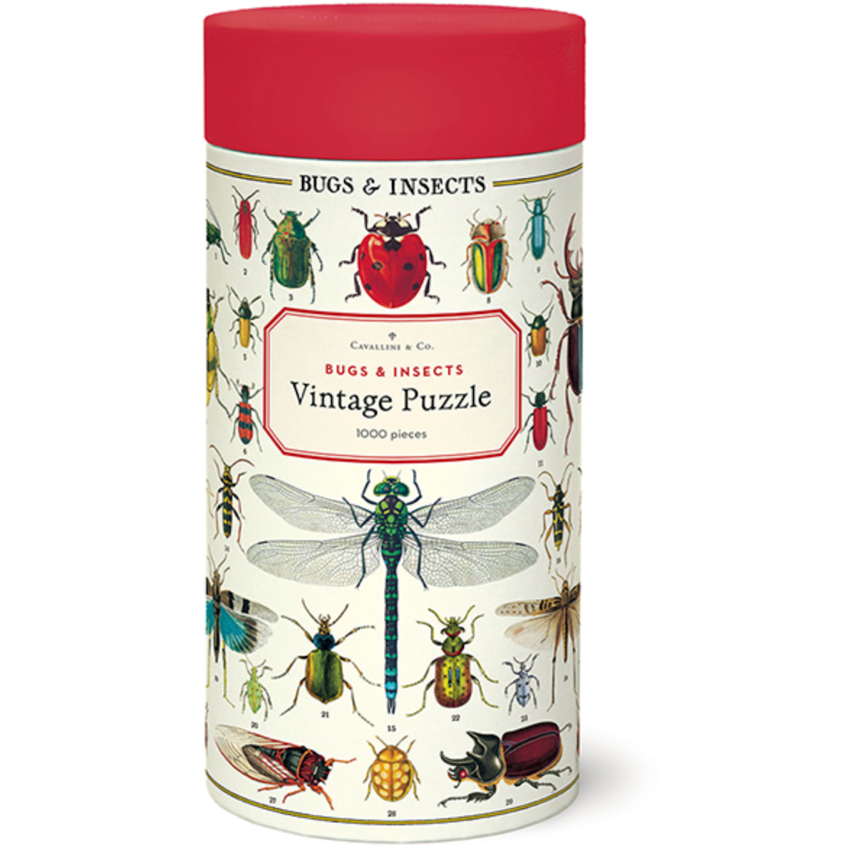 Bugs & Insects Cavallini Puzzle Tube 1000pcs