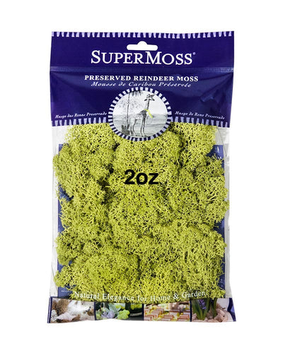 Long-lasting Preserved Moss!
Lovely soft and spongy texture
Washed and Cleaned to Remove Dust and Small Particles
Ideal for Covering Soil and Dressing Potted Plants
Great for Special Events, Home Decor, and Craft Projects
Non-toxic &ndash; Safe for people, pets, and plants
Naturally dried and preserved Reindeer Moss