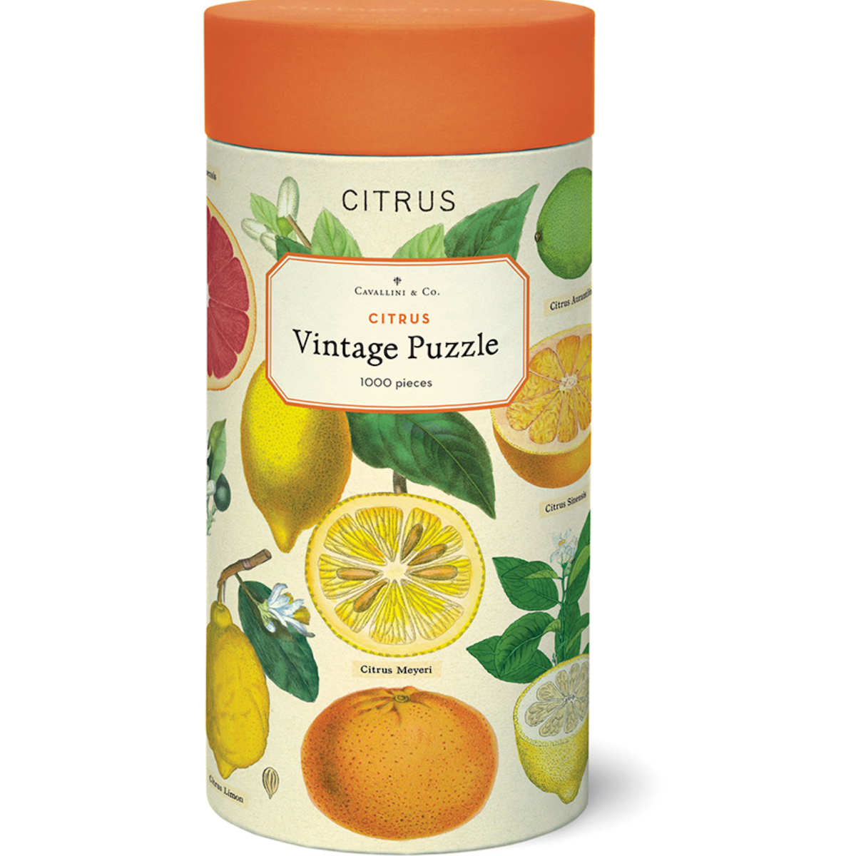 Citrus Cavallini Puzzle Tube 1000pcs