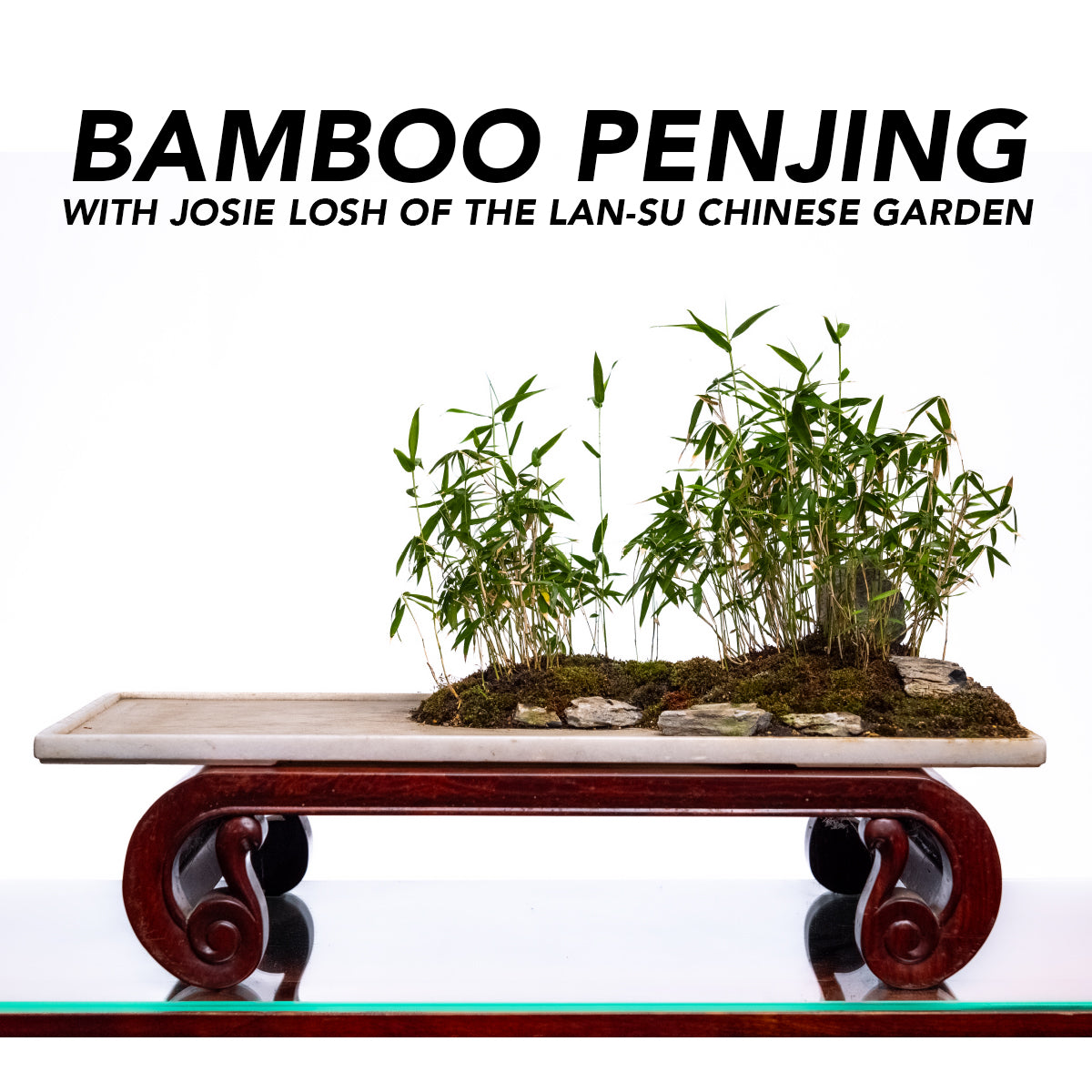 Miniature Bamboo Penjing Workshop