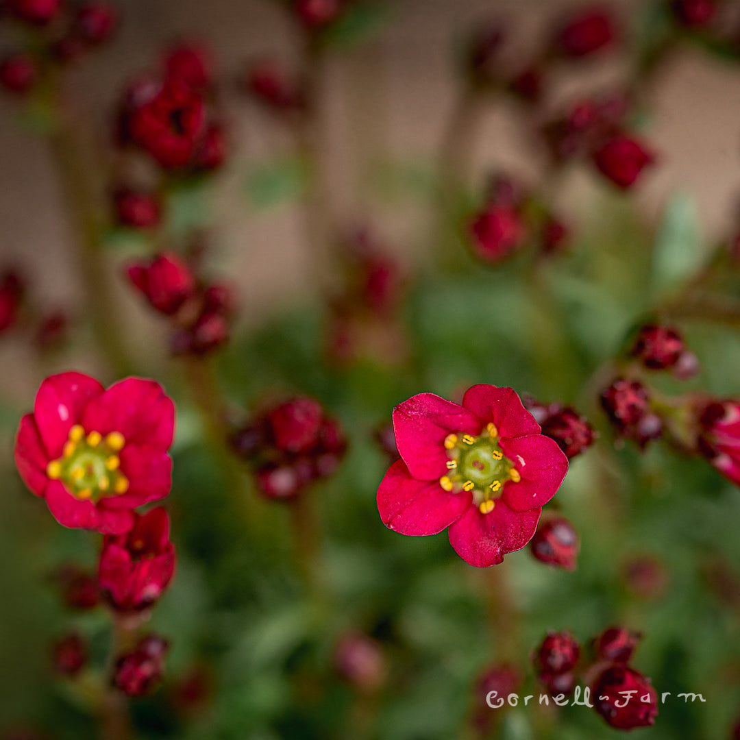 069cd7dcd84c13f0da2bd88315b012