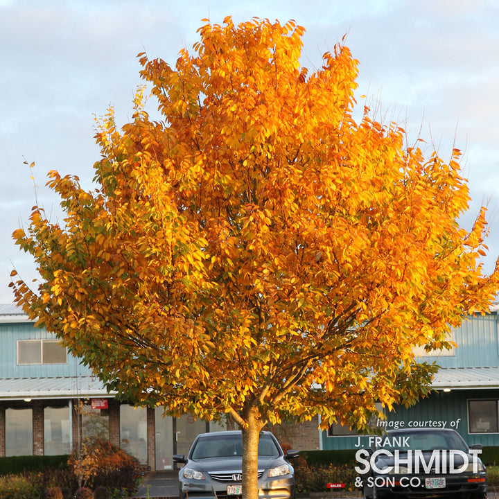 250d80bcc15c18749c5300c7fdaf94