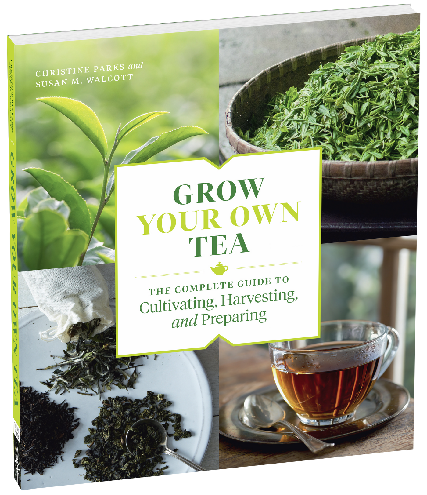 Grow Your Own Tea, Parks/Walcott