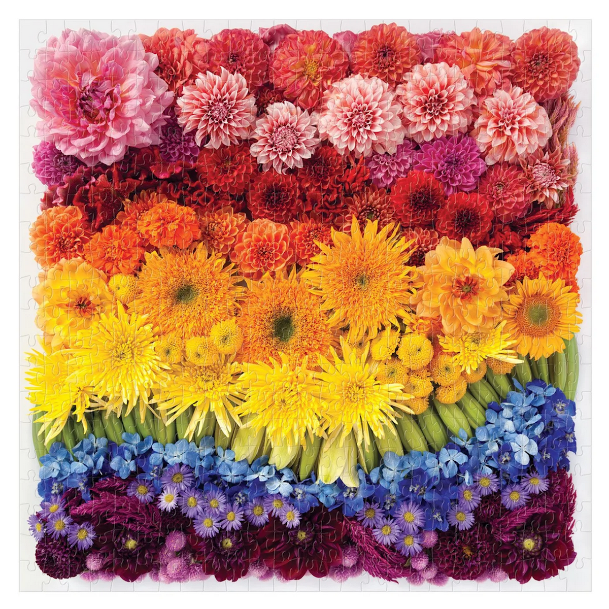 Rainbow Flowers Galison Puzzle 500pcs