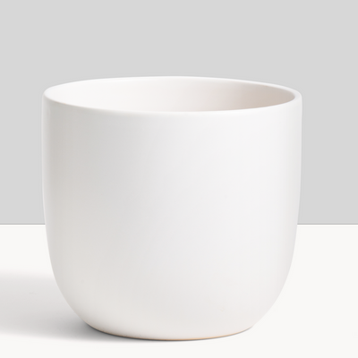 Peach&Pebble Ceramic Planter 7in White