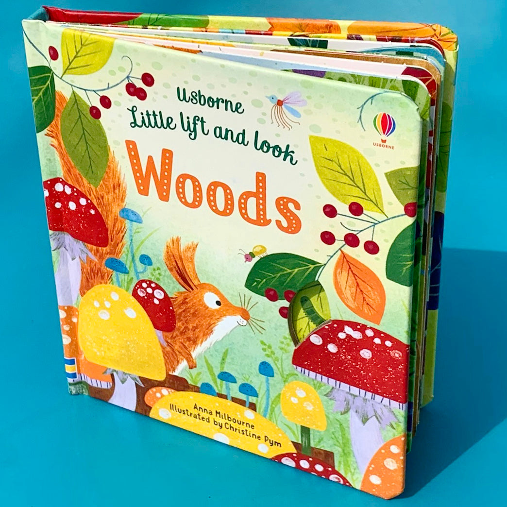 Little Lift & Look Woods Usborne Book