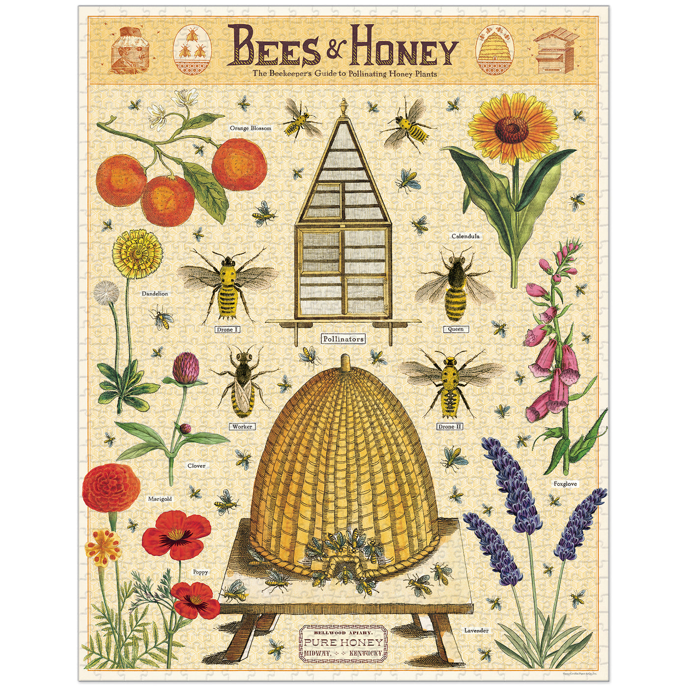 Bees & Honey Cavallini Puzzle Tube 1000pcs