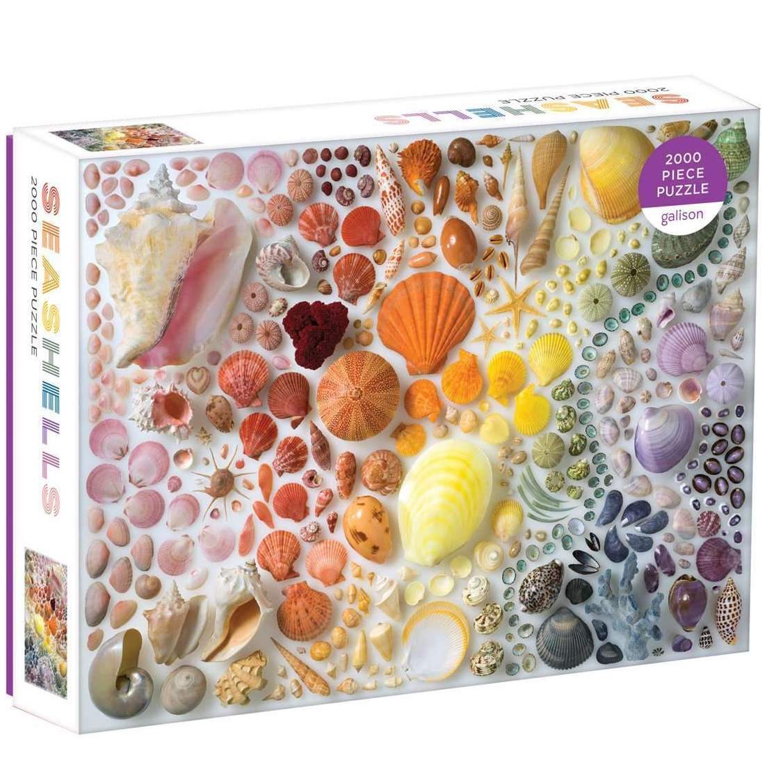 Rainbow Seashells Galison Puzzle 2000pcs