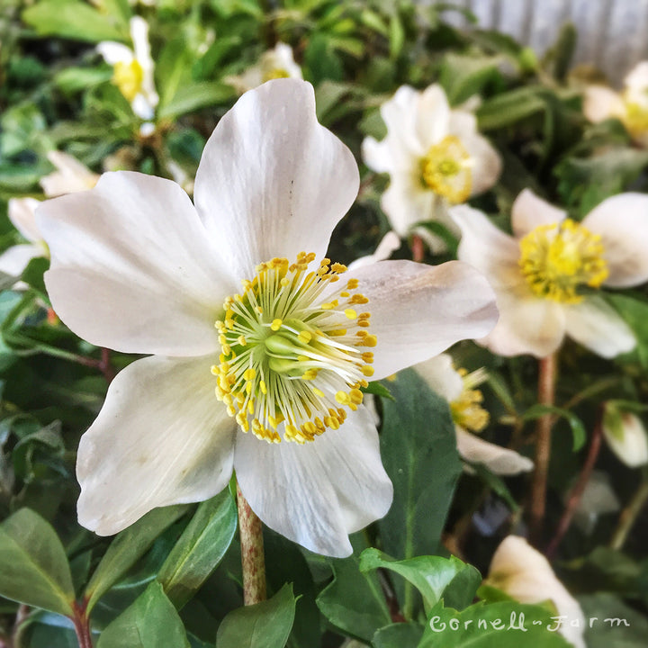 6415c790e8e7dddd66a846c7f6db8b