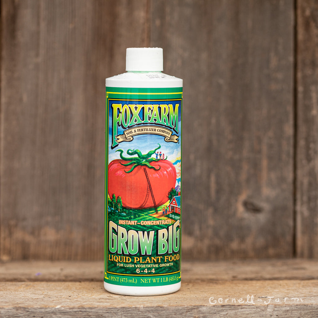 fox farm plant fertilizer Foxfarm Grow Big Pt