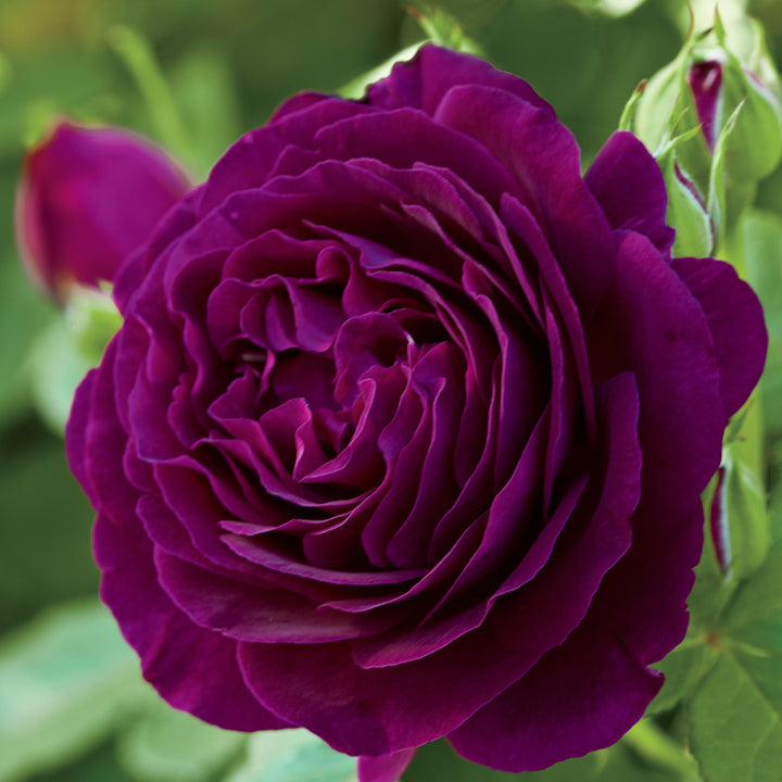 673859e34830dcf96bfa507fcb5089