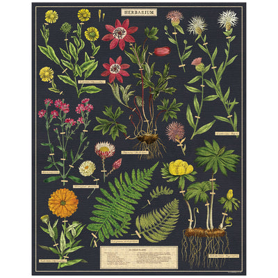 Vintage Herbarium Cavallini Puzzle Tube 1000pcs