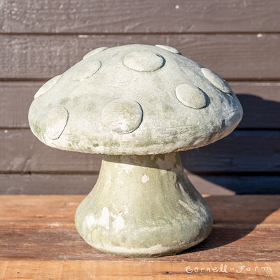 Mushroom Amanita