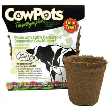 Cow Pot Round 3" 12 Pack