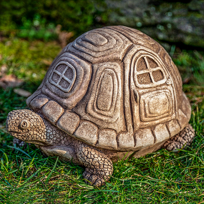 Traveling Turtle AL – Cornell Farm