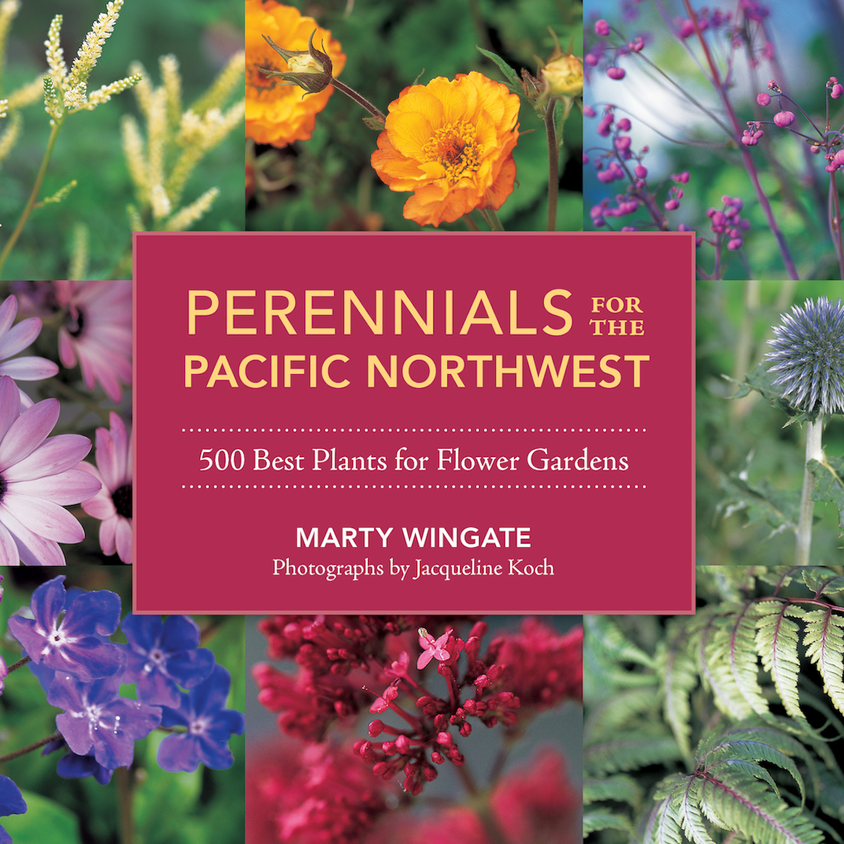 Perennials for the Pacific Northwest, Wingate