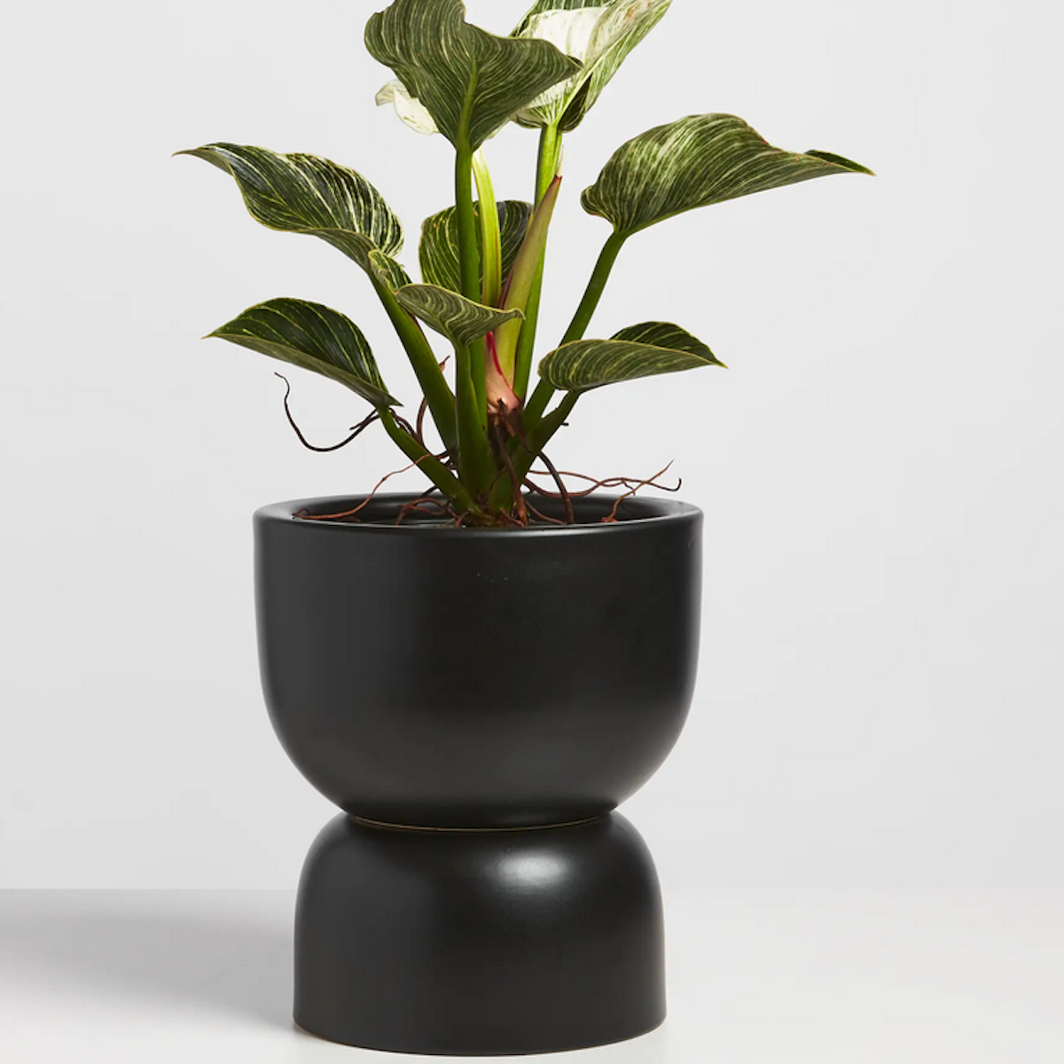 Peach&Pebble Hourglass Ceramic Planter 9in Black