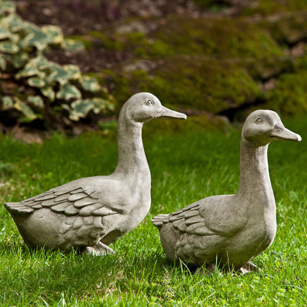 Bird Quackers