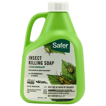 Safer Insecticidal Soap Concentrate 16oz