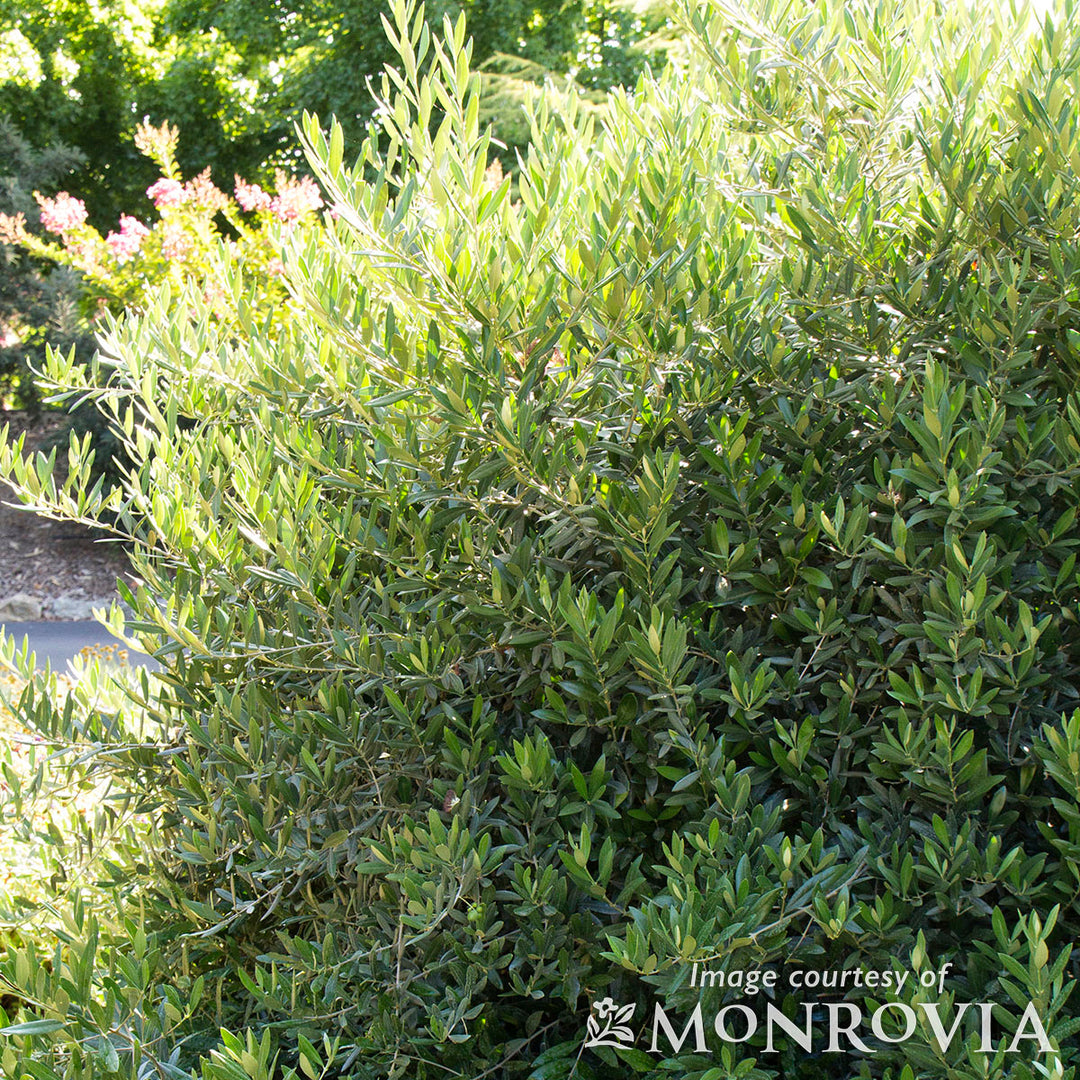 ceffccef84777264f279f2f1babe2d