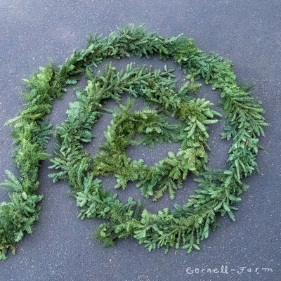 Garland by the Foot - Noble Fir