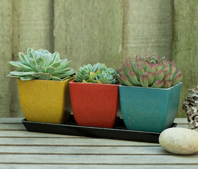 ecoforms planter pots Ecoforms Quadra Natural / Pot
