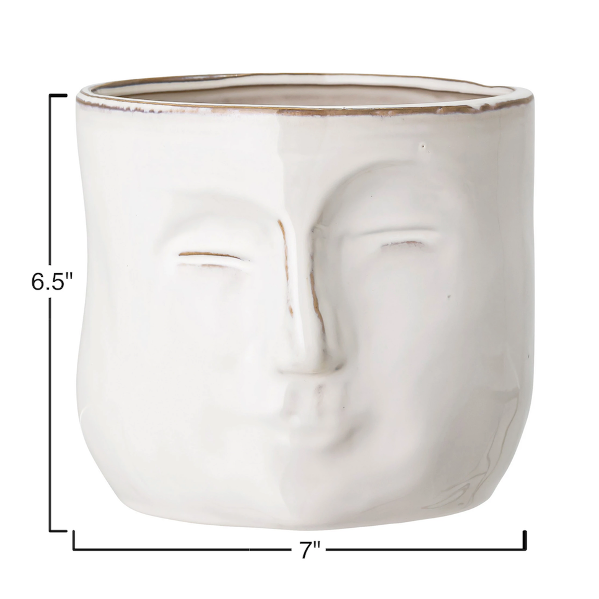 Face Planter, holds 6in pot