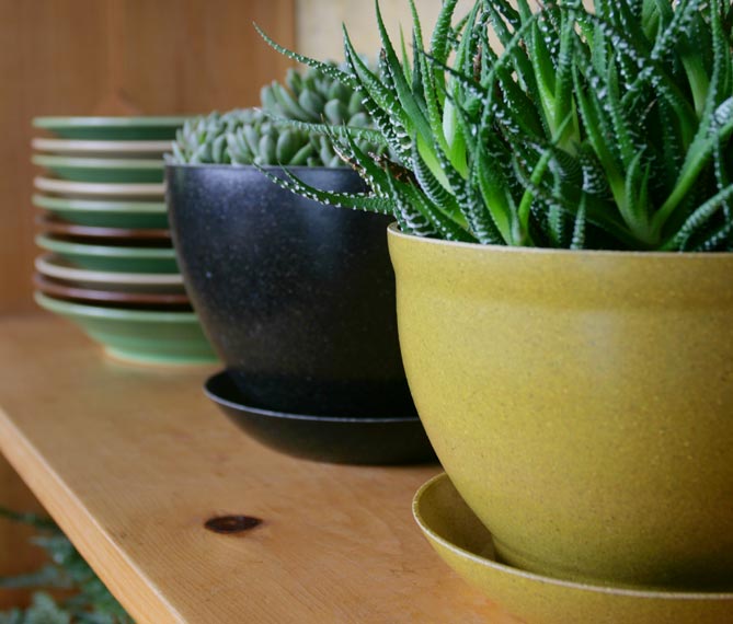 ecoforms planter pots Ecoforms Saucers Harvest / S14