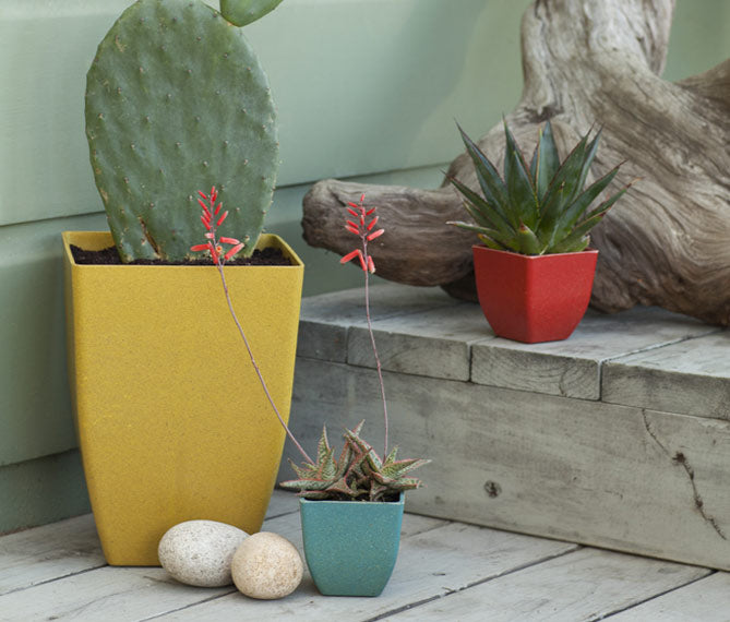 ecoforms planter pots Ecoforms Quadra Natural / Pot